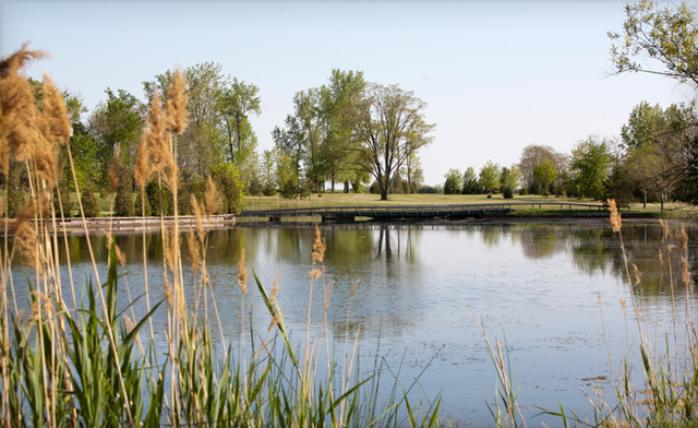 Image of Stay & Play Golf Package at Forest Golf Club & Inn