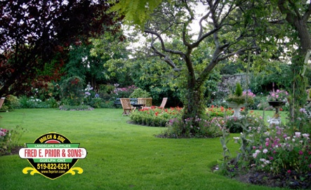 Image of $50 for 2 Yards of Delivered Top Soil in Guelph (a $100 Value)