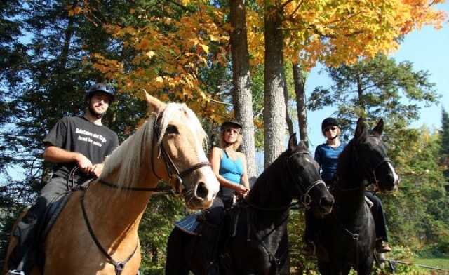 Image of Award-Winning Wellness Retreat in Bancroft