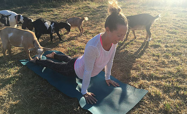 Image of $45 for Goat Yoga for 2 People (a $70 Value)