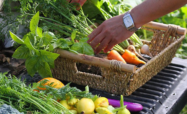 Image of $25 for $50 towards Dining at AG Inspired Cuisine