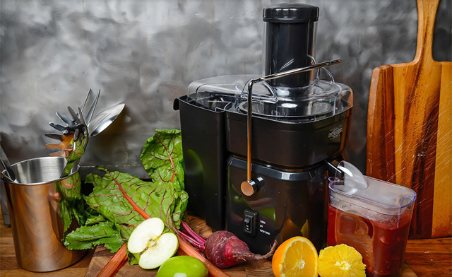 Image of $115.99 for a Nutri-Stahl 700W Multi-Speed Juicer (a $200 Value)