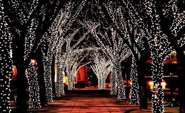 Up To 69 Off Solar Led Fairy Lights Deal Wagjag