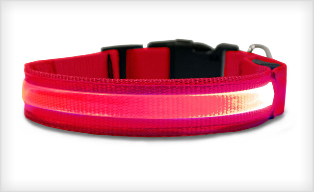 Image of $15 for a LED Safety Pet Collar (a $29 Value)