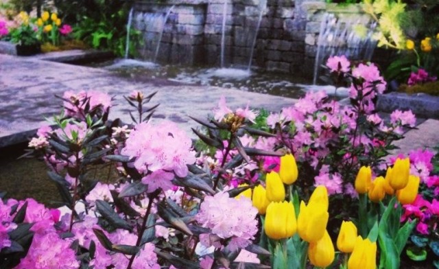 Image of $20 for 2 Tickets to the National Home Show and Canada Blooms Garden Festival on March 11 - 20, 2016 (a $40 Value)