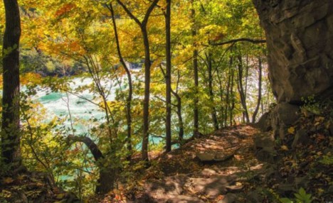 $35 for a Natural Connections Walking Tour (a $70 Value) $35 for a Natural Connections Walking Tour (a $70 Value)
