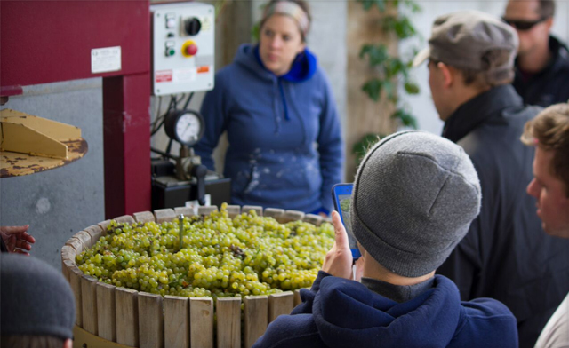 Image of Up to 48% off a Niagara-on-the-Lake Vineyard Tour, Tasting & Lunch