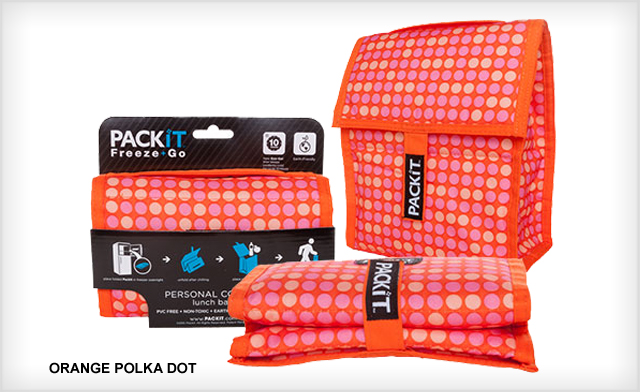 Image of $17 for a Packit Lunch Bag (a $44 Value)