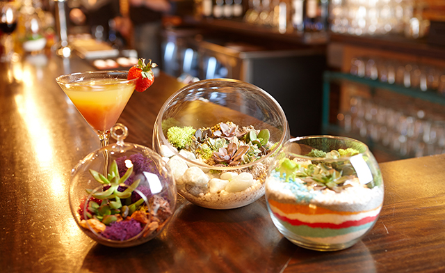 Image of $25 for a Ticket to a Terrarium Making Night (a $45 Value)