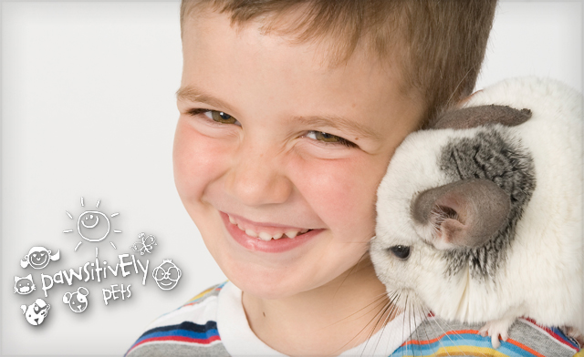 Image of Up to 37% off Hands-On Animal Programs for Kids