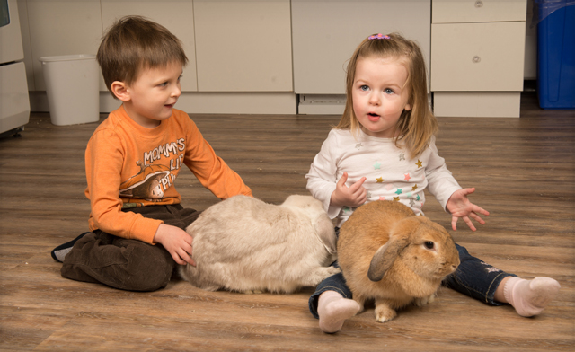 Image of Up to 37% off Hands-On Animal Programs for Kids