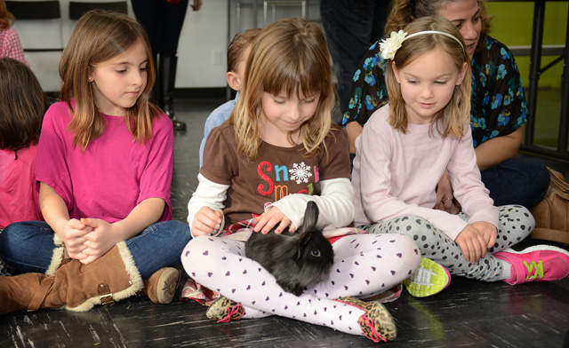 Image of Up to 37% off Hands-On Animal Programs for Kids