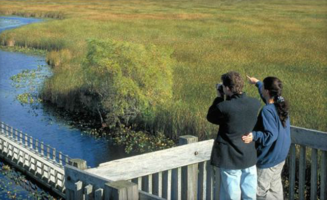 A Relaxing Family Retreat Near Point Pelee