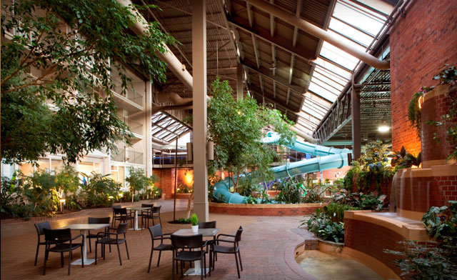 Image of Wonderland Fun with a Toronto Hotel Stay