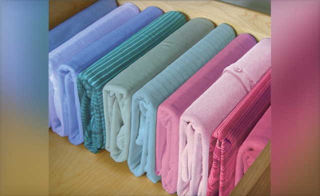 Image of $12 for a Set of 10 Pliio® by FHE® Medium Clothing Organizers (a $28.25 Value)