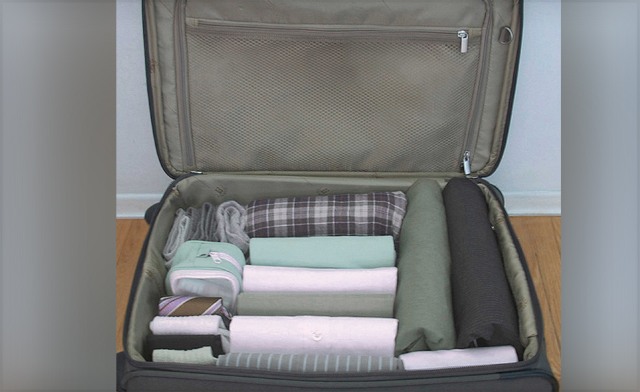 Image of $12 for a Set of 10 Pliio® by FHE® Medium Clothing Organizers (a $28.25 Value)