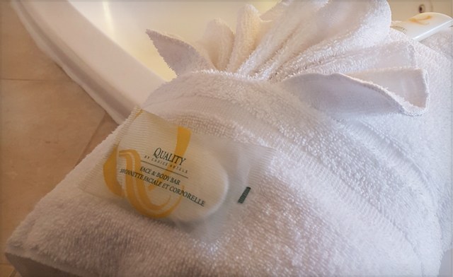 Image of Wine & Dine Getaway to Niagara Falls