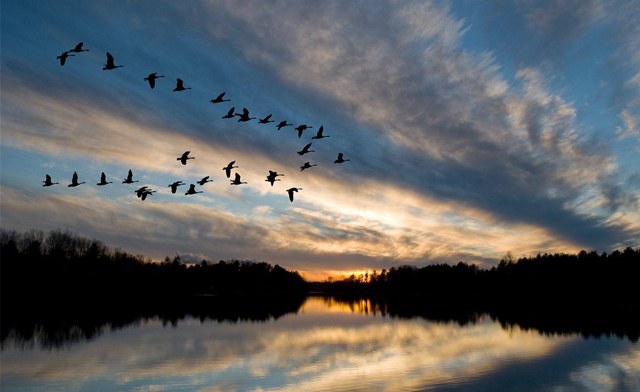 Image of 1-Night Stay at the Luxurious Rawley Resort Spa And Marina in Muskoka - New Dates Added! 