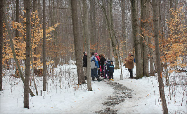 Image of Up to 43% off an Admission to Sugar Bush