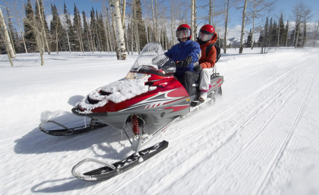 Image of Winter Wonderland in the Heart of Huntsville