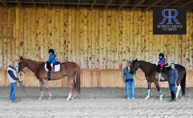 Image of $39 for 2 Horseback Riding Lessons in Orangeville (a $120 Value)