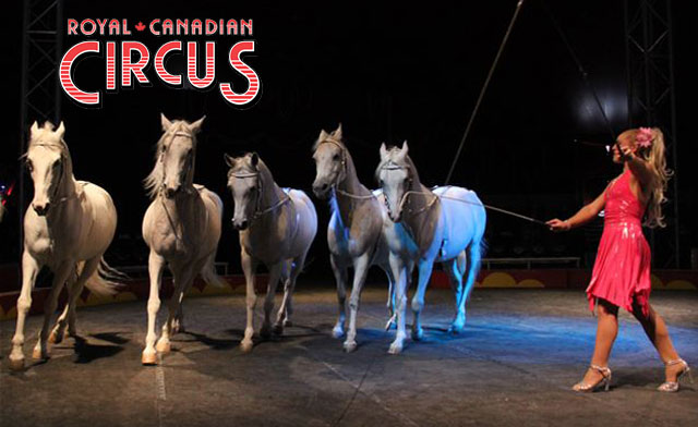 $36 for 2 Tickets to the Royal Canadian Circus (a $60 Value) - WagJag.com