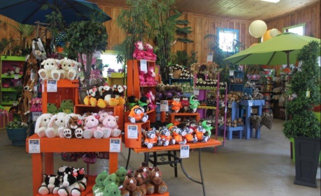 Image of $19 for a Full-Day Inclusive Admission (a $30.95 Value)