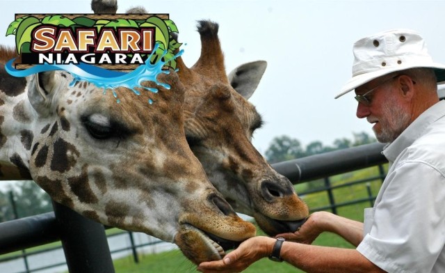 Image of $19 for All-Inclusive Daytime Admission (up to a $30.95 Value)