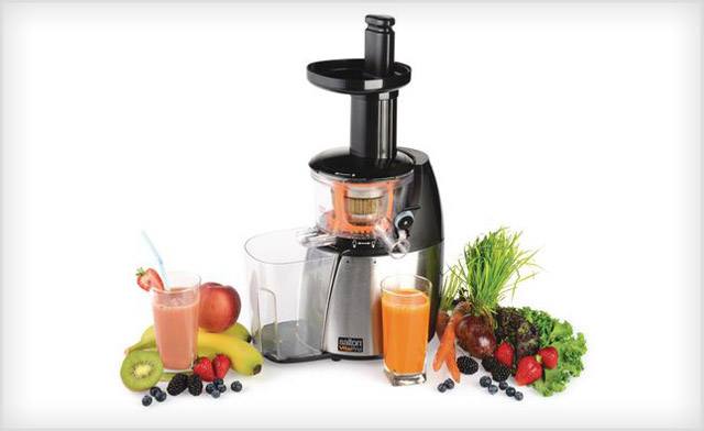Image of $75 for a Salton VitaPro Slow Juicer (a $265.55 Value)