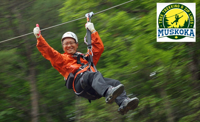 Image of Up to 44% off a Muskoka Tree-Trekking Adventure and Tickets for Sportsland Attractions (2 Options)