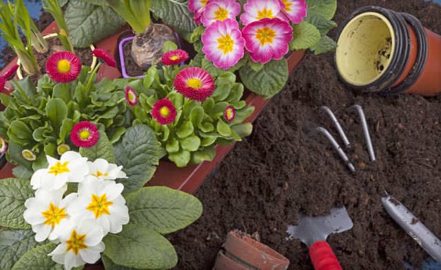 Image of $64.50 for a 1 Cubic Yard Big Green Super Sac of Premium Black Garden Soil (a $129 Value)