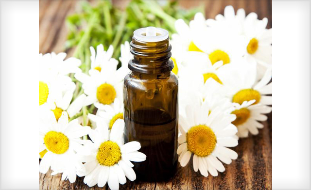 Image of $39 for an Aromatherapy Diffuser and 1 Free Citronella Essential Oil (an $80.98 Value)