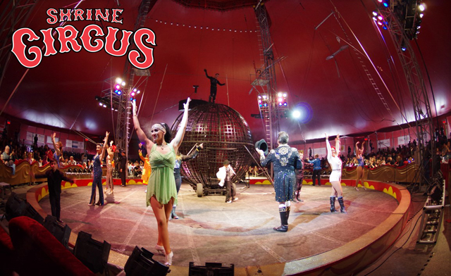 Image of LAST CHANCE FOR SHRINE CIRCUS TICKETS! 2 Tickets for the Price of 1!