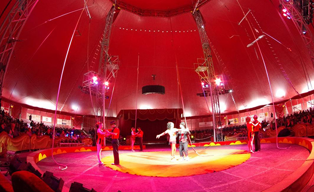 Image of LAST CHANCE FOR SHRINE CIRCUS TICKETS! 2 Tickets for the Price of 1!