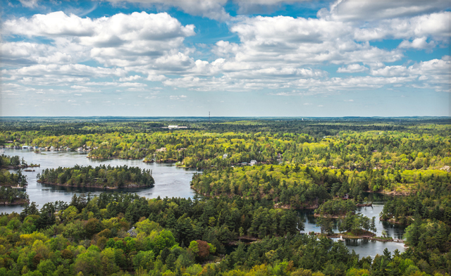 Image of $99 and Up for a 2-Day Ottawa Tulip Festival and Montreal Trip from Sinorama Holidays- Transportation and Hotels Included