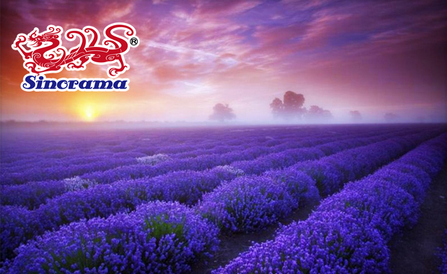 Image of $99 and Up for a 2-Day Montreal Lavender Fireworks Trip from Sinorama Holidays (up to a $209.99 Value)