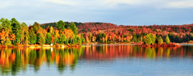 Image of Succulent 5-Star Vacation in Stunning Algonquin