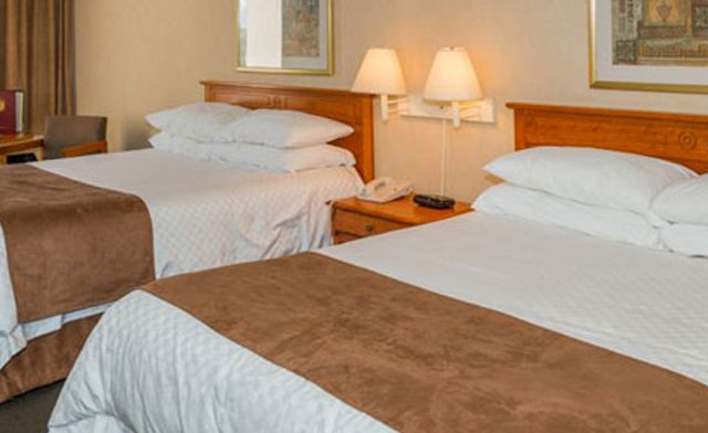 Image of Family Fun and Food in a Niagara Falls Getaway