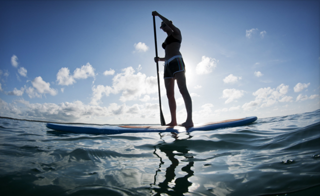 Image of $25 for a 90-Minute Sunnyside Beach Easy Paddle Boarding Lesson and Rental (a $50 Value)