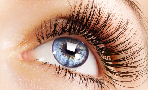 mink eyelash extensions deals toronto