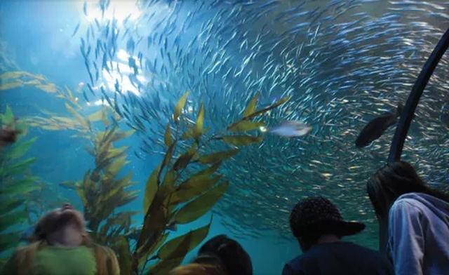 Image of $148 and Up for a 3-Day Chicago Classic Tour with Transport & Accommodation from Tours With You (Up to $415 Value)