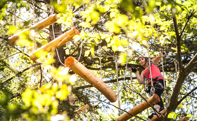 Image of $47 for a Zip Line and Aerial Course Tour (a $68 Value)
