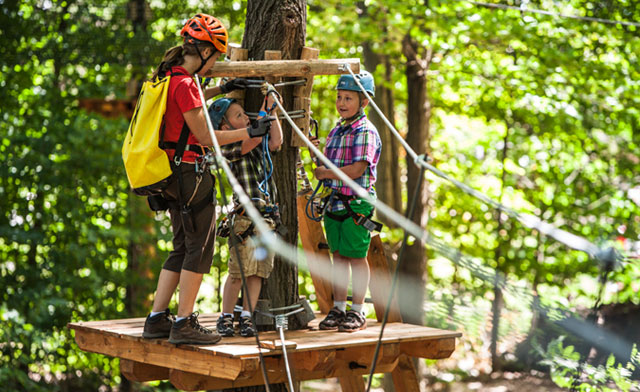 Image of $47 for a Zip Line and Aerial Course Tour (a $68 Value)