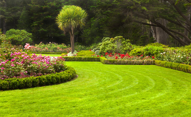 Image of $100 for $200 towards Lawn Care Programs and Services in Hamilton