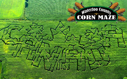 Image of Waterloo County Corn Maze: Two Options Option 1: $10 for Admission for 2 Option 2: $19 for Admission for 4