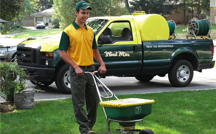 Image of Weed Man: Three Options Option 1: $39 for a Spring Fertilizer and Weed Control Application for Lawn up to 4,500 Sq. Ft. Option 2: $49 for a Spring Fertilizer and Weed Control Application for Lawn up to 7,000 Sq. Ft. Option 3: $59 for a Spring Fertilizer a