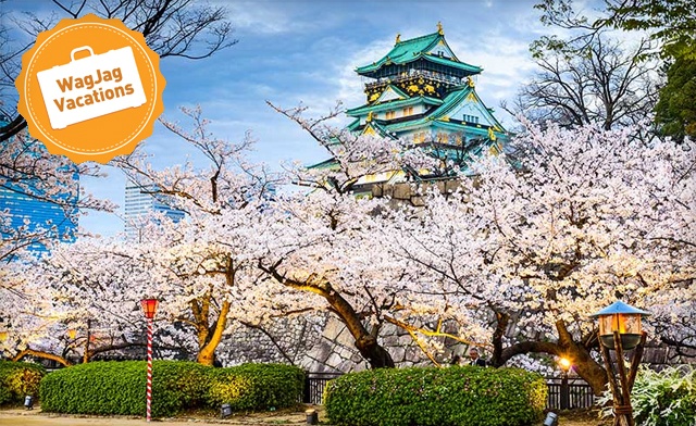Image of BEST PRICE TO JAPAN GUARANTEED: 9-Day Japan Tour with Flights, Tours, Hotels & More!