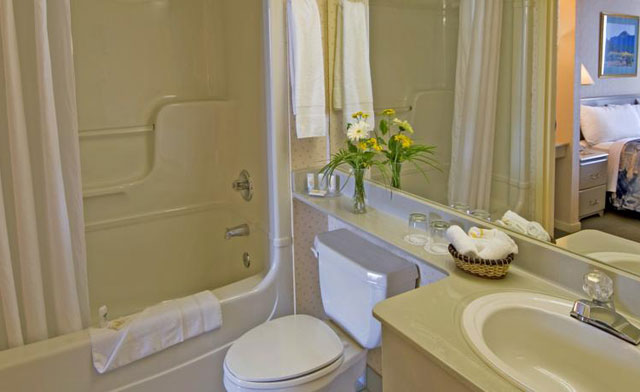 Image of Family Waterpark Escape in Downtown Windsor