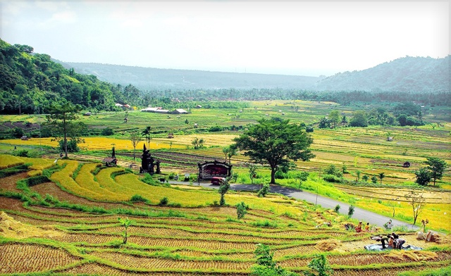 Image of 14-Day Bali Adventure Package with Flights, Hotels, Excursions & More!