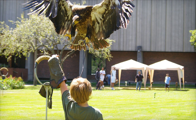 Image of Up to 53­% off General Admissions to Wizard World Hamilton (2 Options)